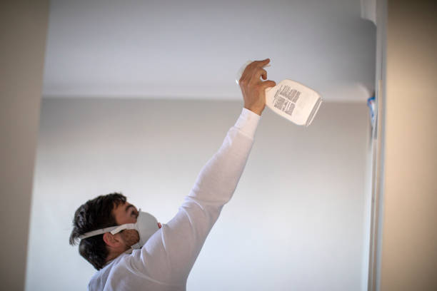 Best Crawl Space Mold Removal  in Dexter, GA