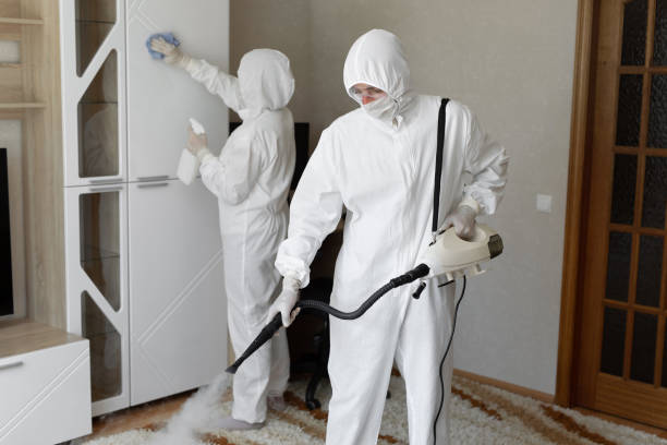 Best Mold Removal Process  in Dexter, GA