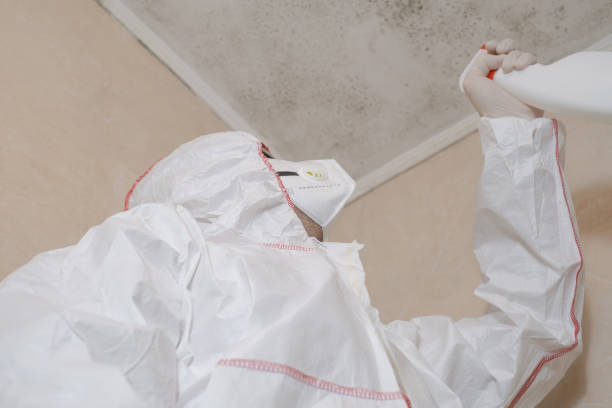 Best Office Mold Removal Services  in Dexter, GA