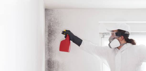 Water Damage Restoration in Dexter, GA
