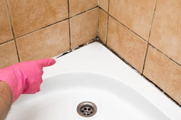 Certified Mold Removal in Dexter, GA
